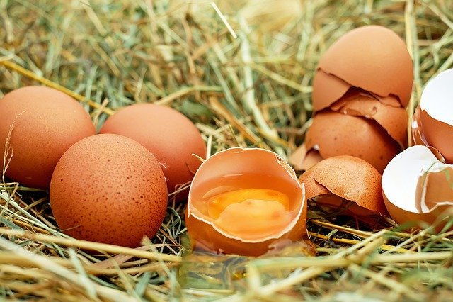 Brown Eggs 2 Brown eggs on grass. One egg cracked in half with yolk in it.