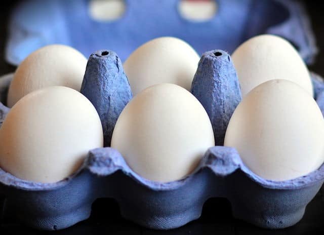 White Eggs 3 White eggs in a blue carton.