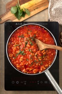 Bison meat sauce in pan on portable cooktop.