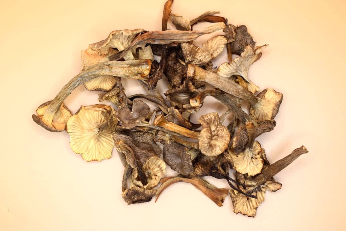 Dried chanterelle mushrooms.