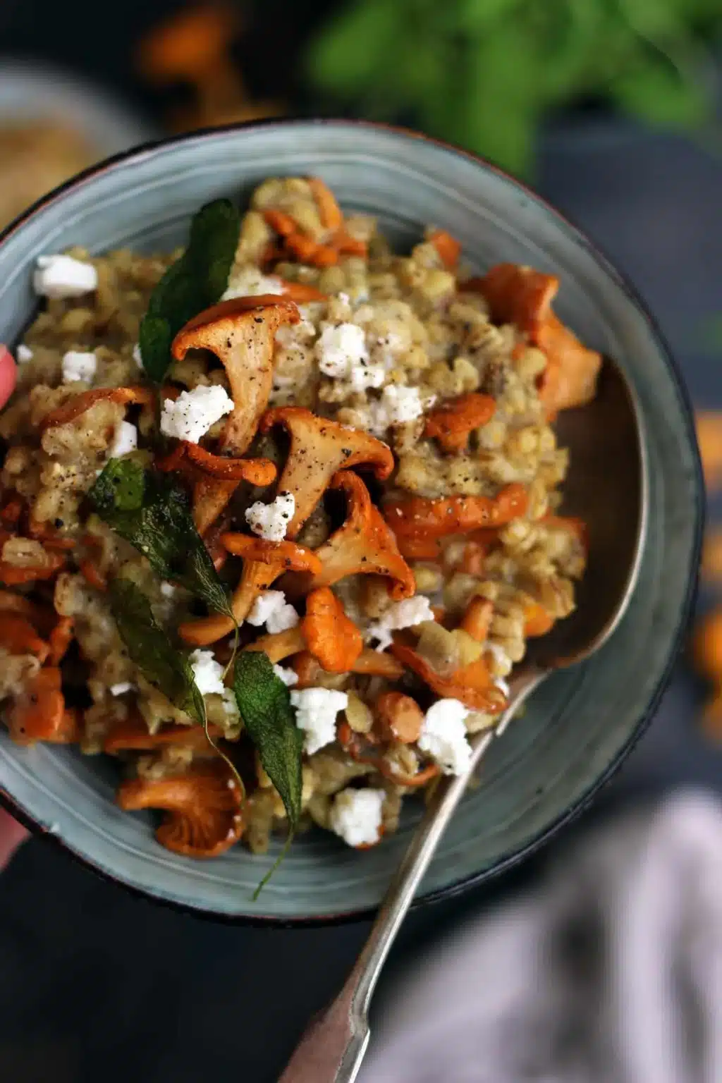 Mushroom barley risotto in bowl with spoon.