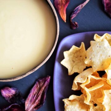 White cheddar nacho cheese sauce in a coconut bowl, tortilla chips and lily leaves on the side.