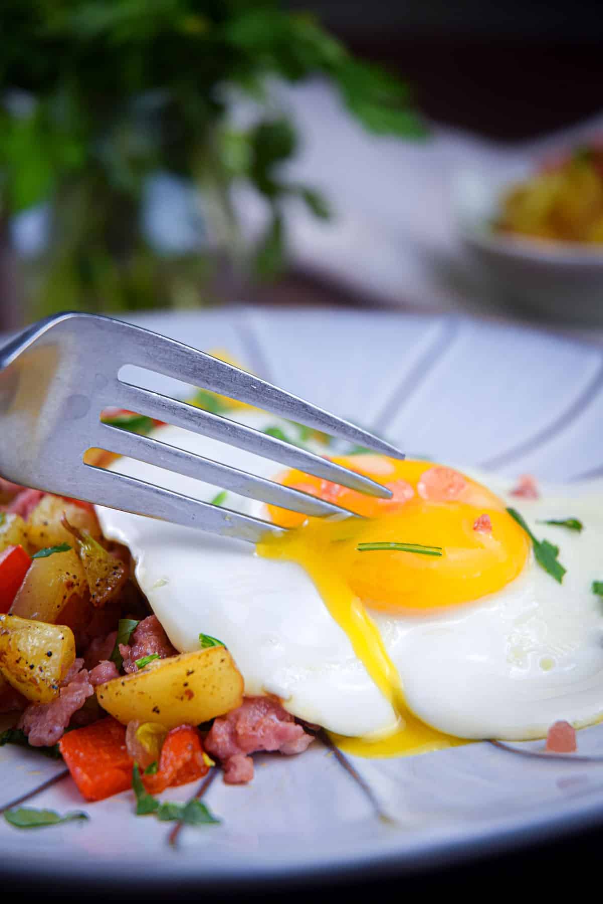 A runny egg broken up with fork on hash browns.