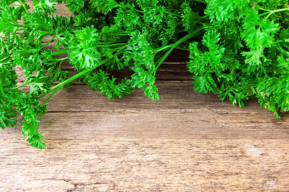 tied fresh parsley on wooden surface