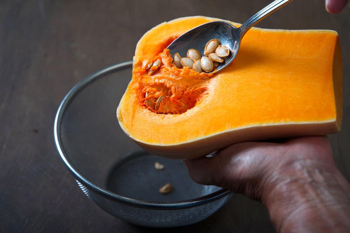 Butternut squash half in hand.