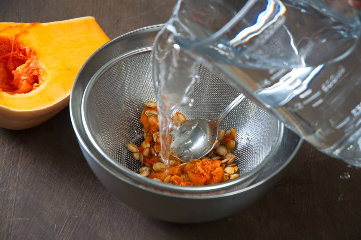Butternut squash seeds in a sieve with water.