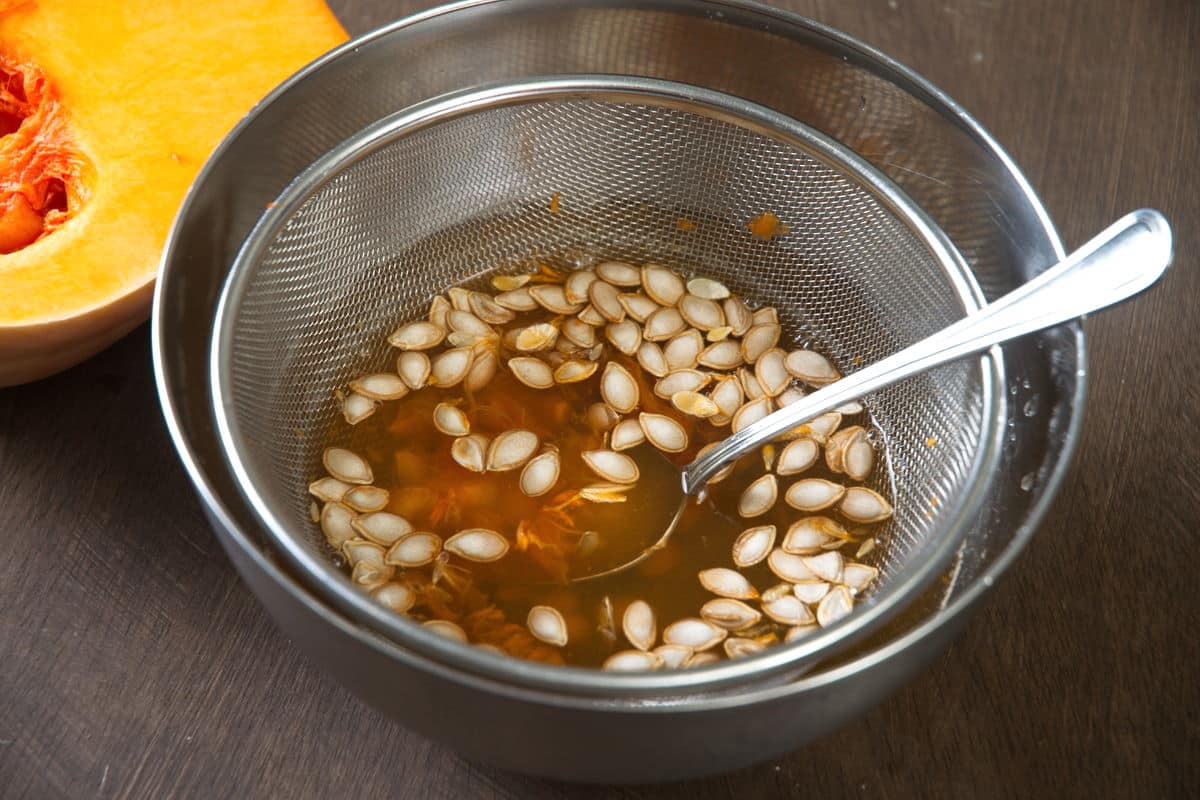 Butternut squash seeds cleaned in a sieve.