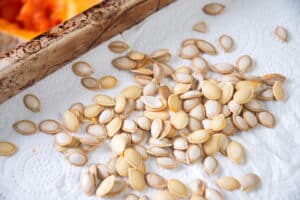 Butternut squash seeds drying on a paper towel.