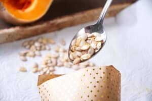Dried butternut squash seeds on a spoon.