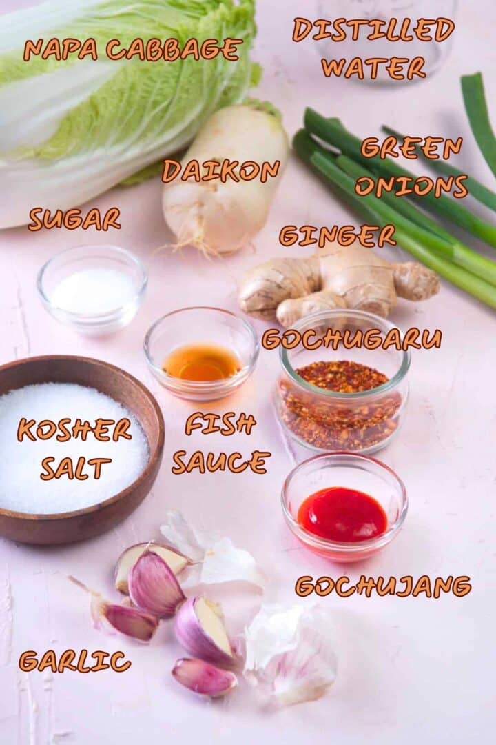 Kimchi ingredients prepped and labeled on white background.