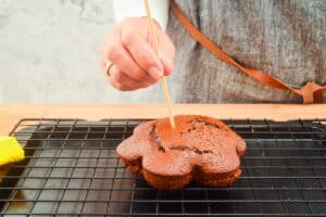 Chocolate cake with a wooden skewer poking into it.