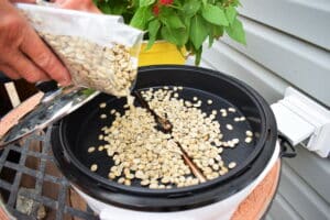 Coffee roaster with raw green coffee beans.