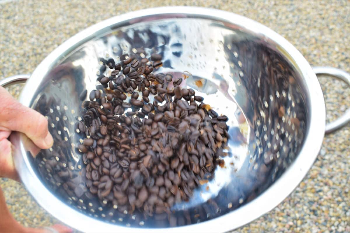 Coffee beans in metal colander held by hand.