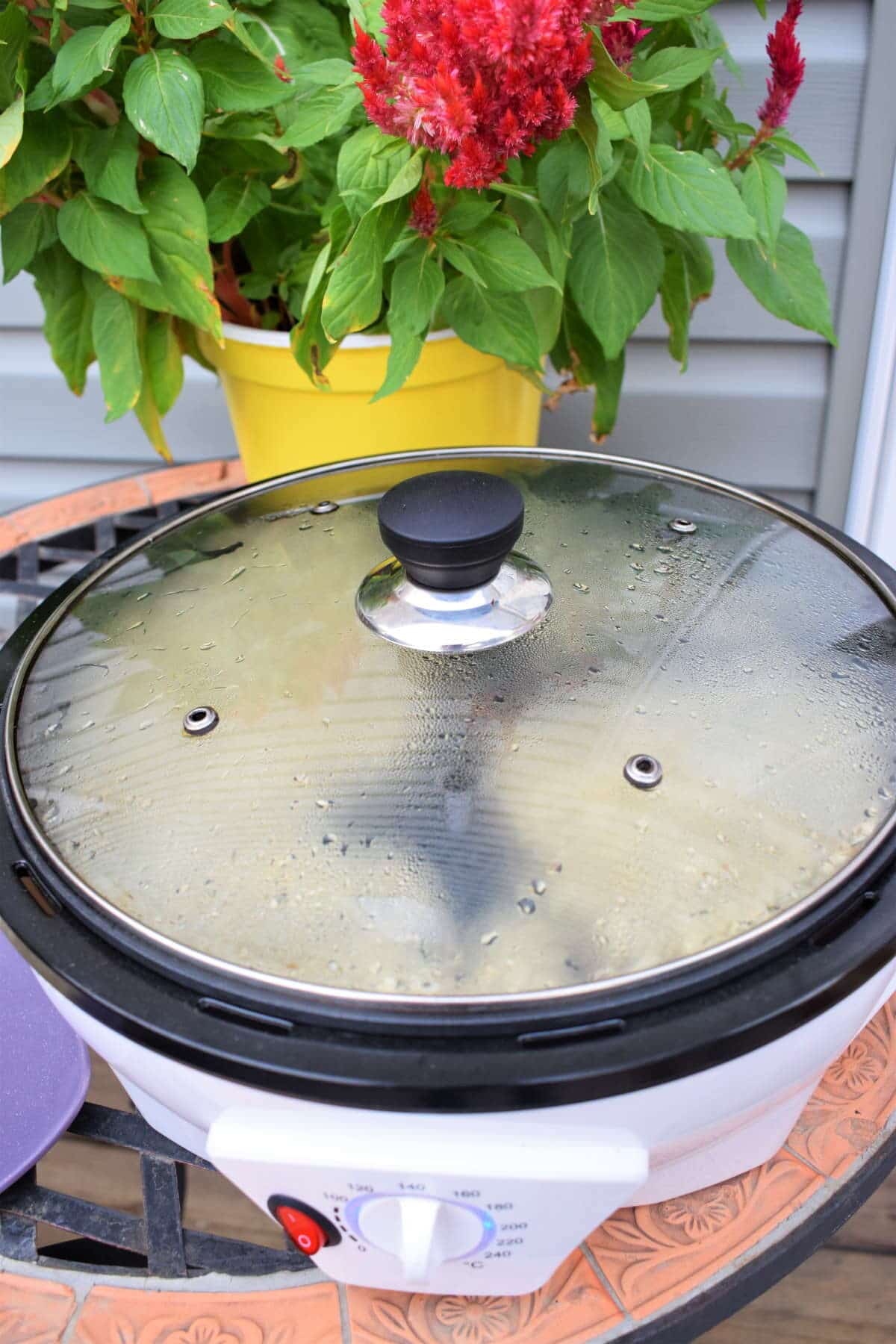 Coffee roaster with coffee beans inside and the lid steaming up. Flower pot in the background.