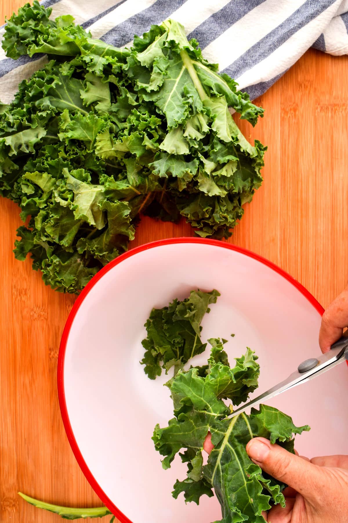 Kale being cut with scissors into bowl.