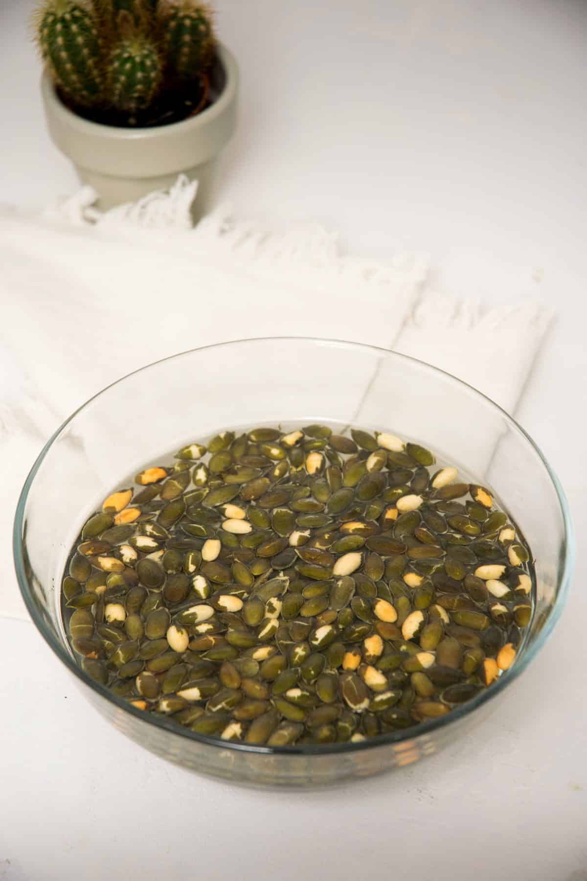 Pumpkin seeds and water in a bowl.
