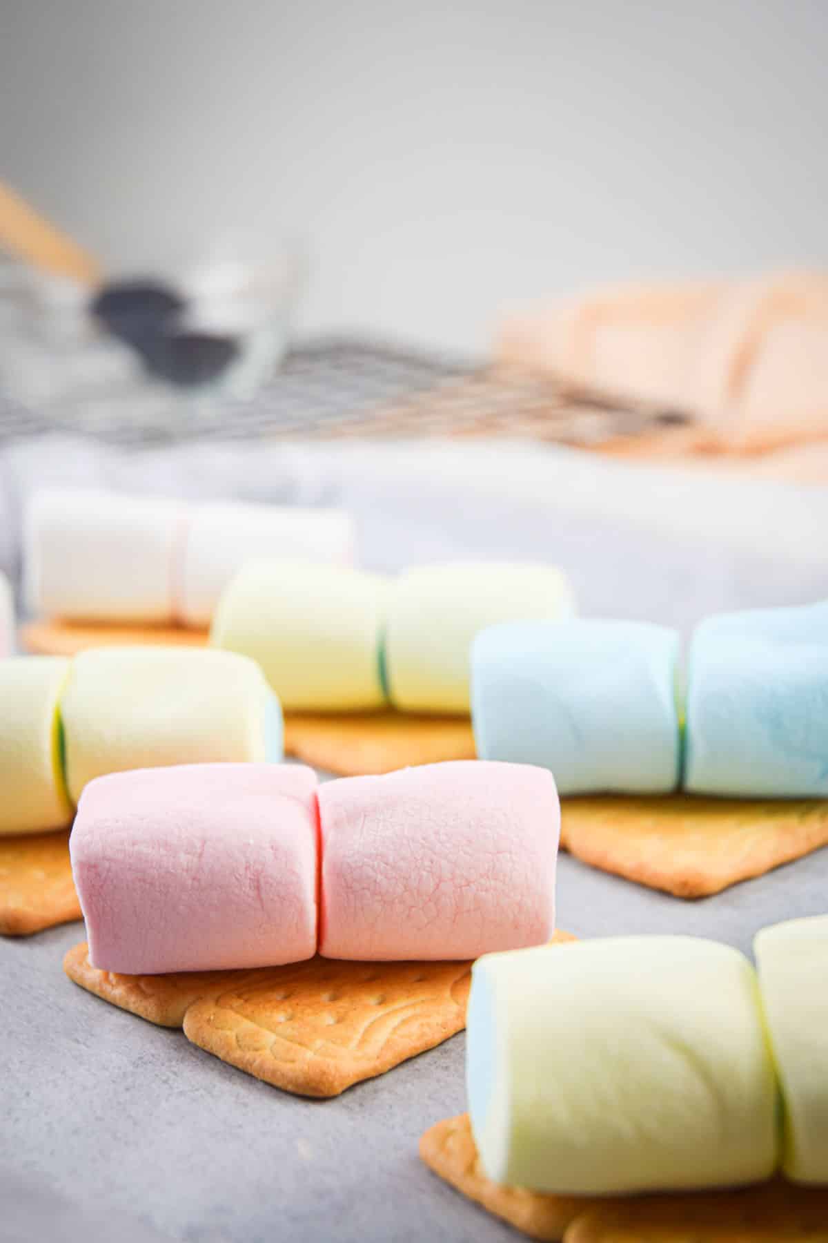 Colored marshmallows on graham crackers.