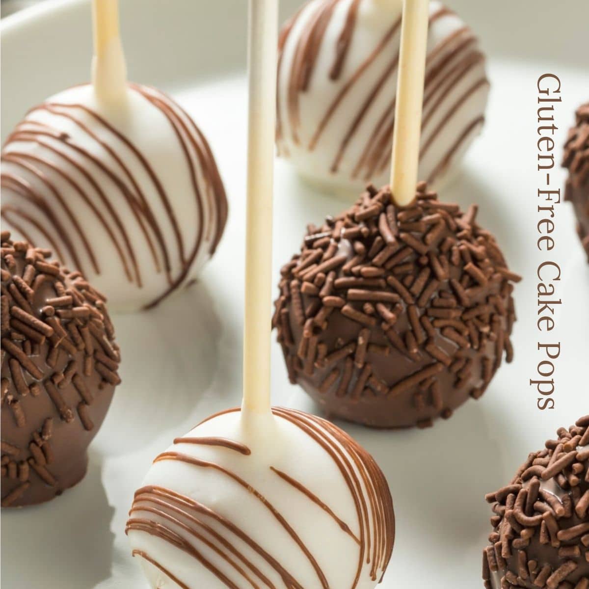 Gluten free chocolate cake pops on white plate.
