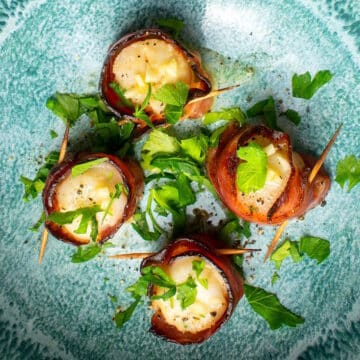 Bacon wrapped scallops with parsley on blue plate.