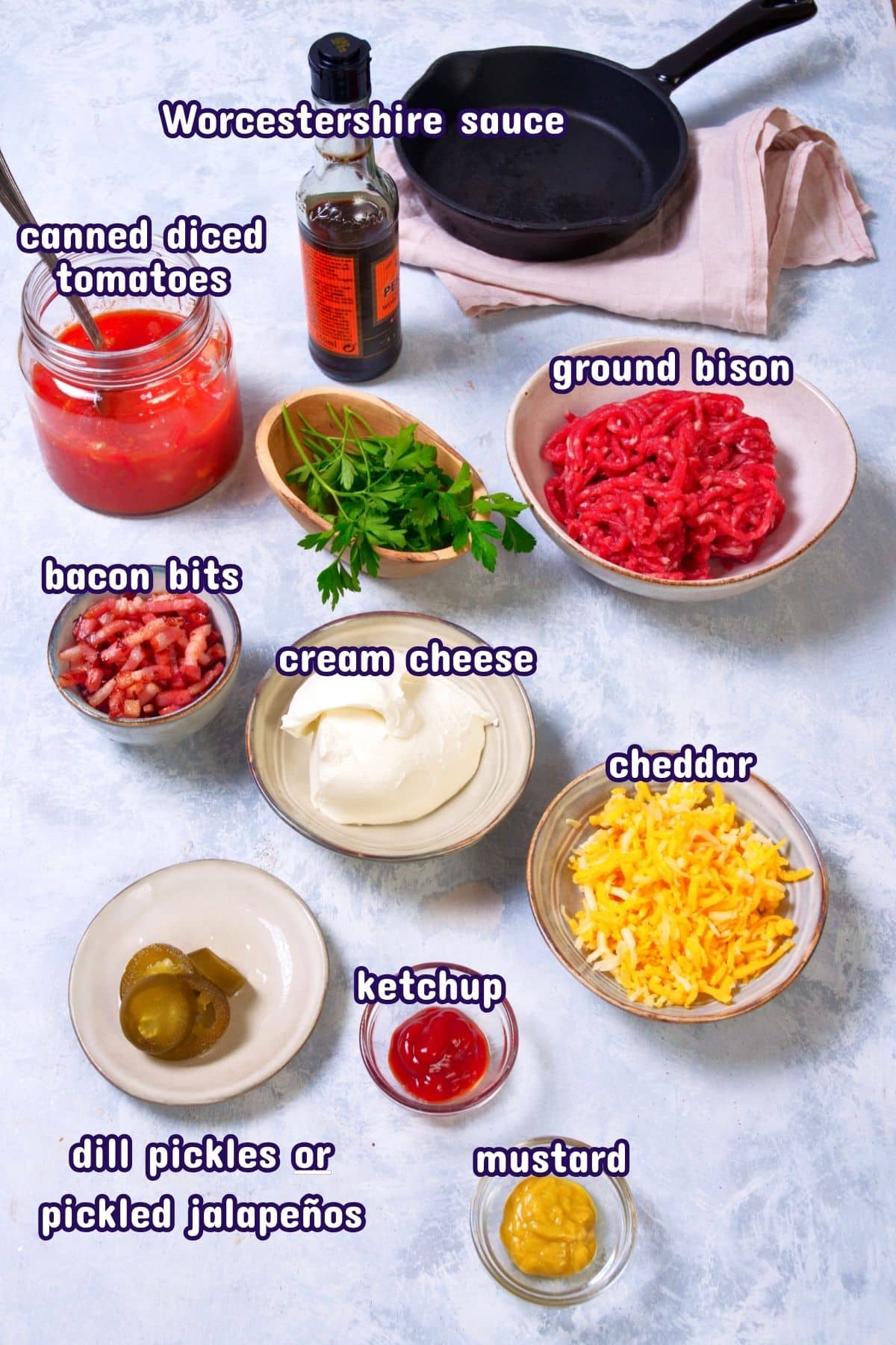Bison cheeseburger dip ingredients labeled on light background.
