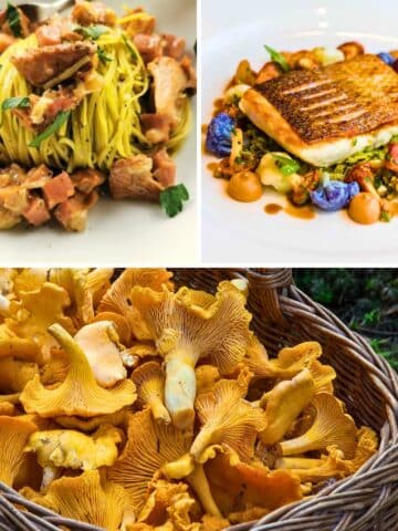 Image collage of chanterelle mushroom recipes.