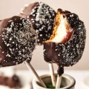 Cheesecake cake pops in holder.