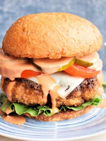 Chicken fried breaded burger on plate.