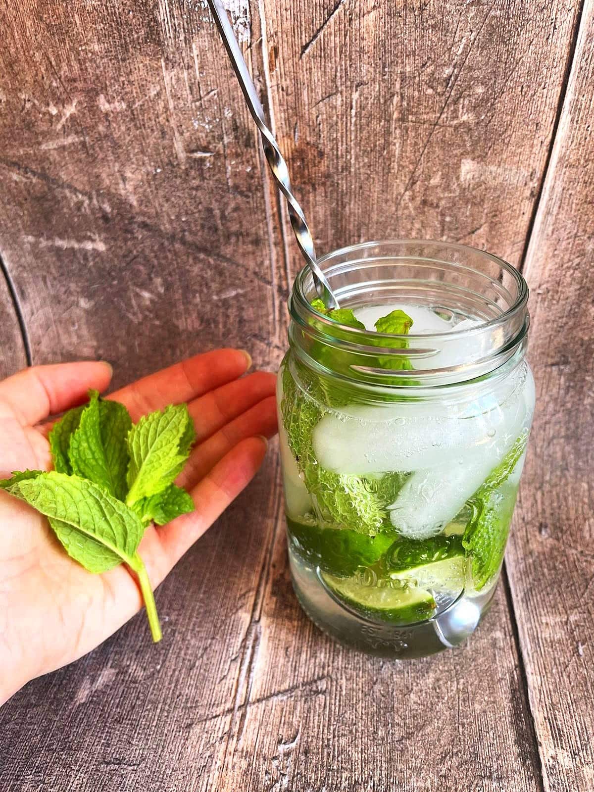 Fresh mint in palm of hand.