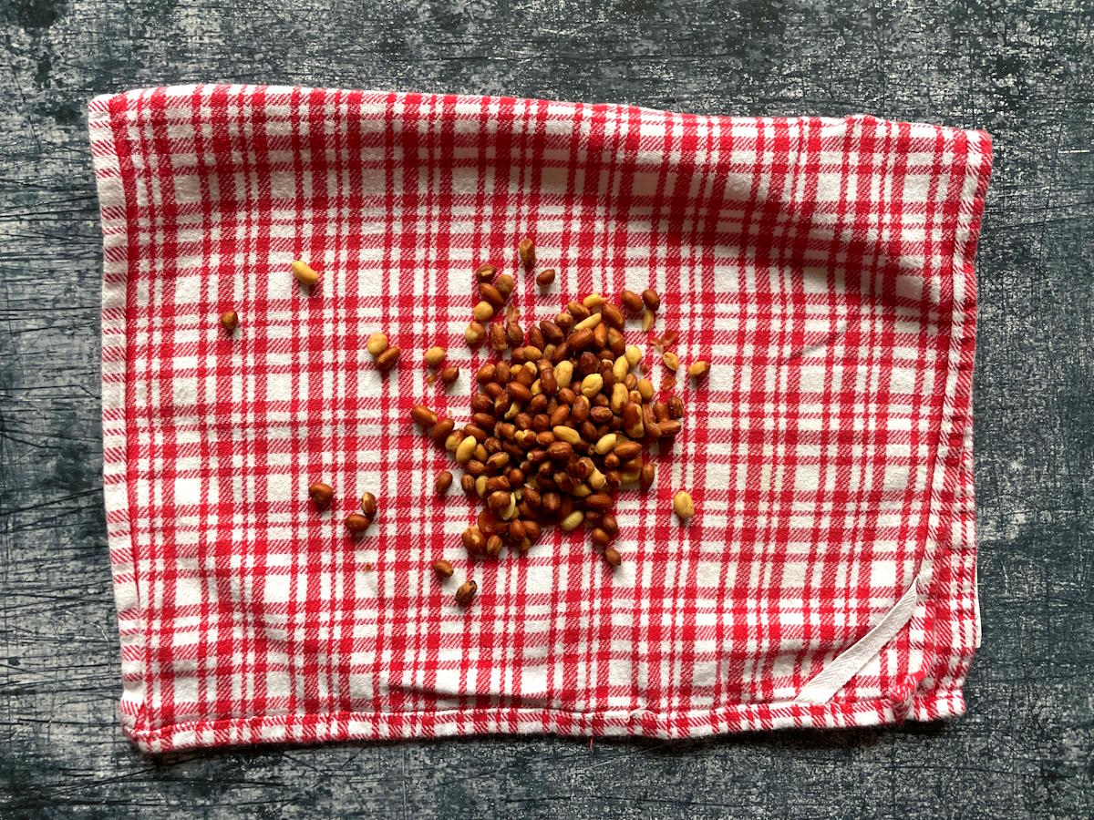 Spanish peanuts on kitchen towel.