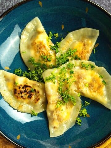 Pierogies with cheese filling on blue plate.