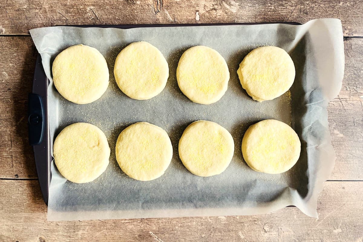 English muffin dough rounds on wax paper lined sheet pan, sprinkled with cornmeal.