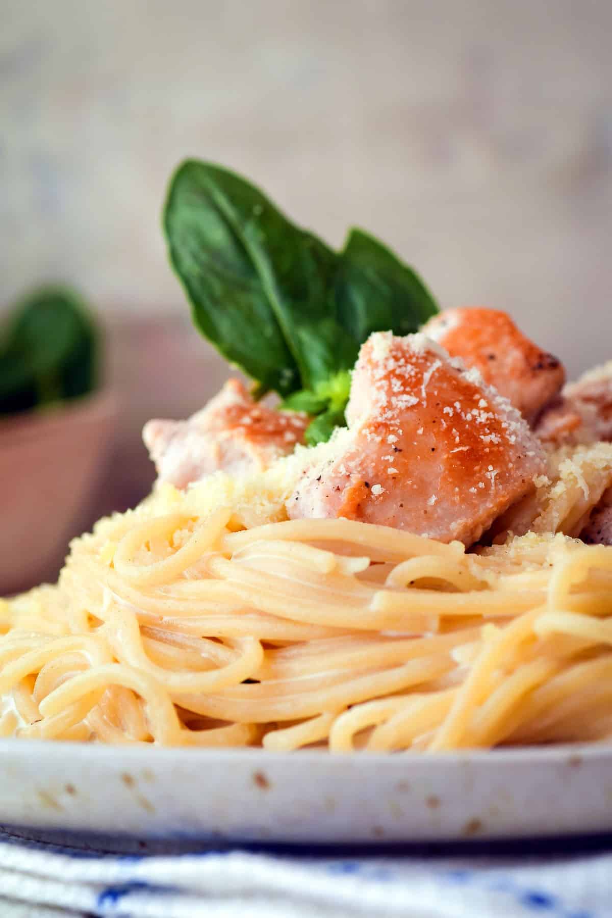 Electric skillet spaghetti with cubed chicken and Parmesan on plate.