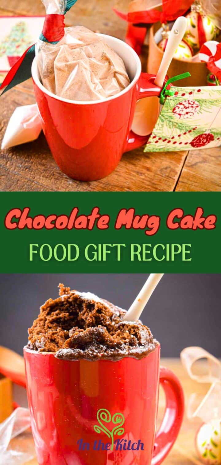 Images of mug cake in red mug with text overlay that says 'chocolate mug cake food gift recipe'.