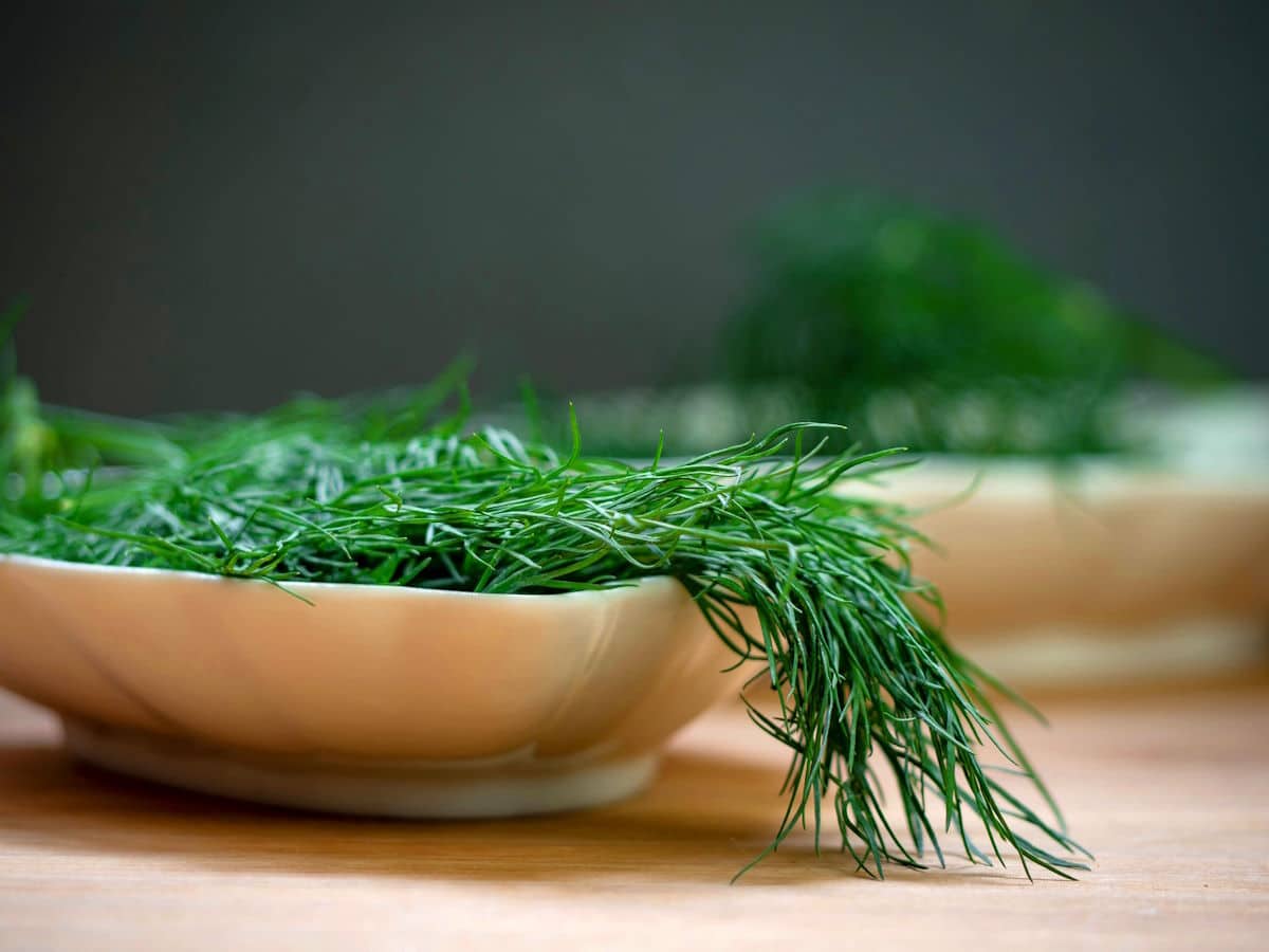 Fresh dill in small dish.