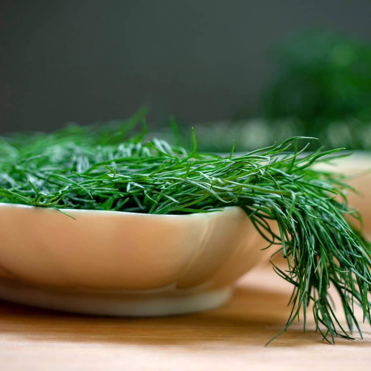Fresh dill.