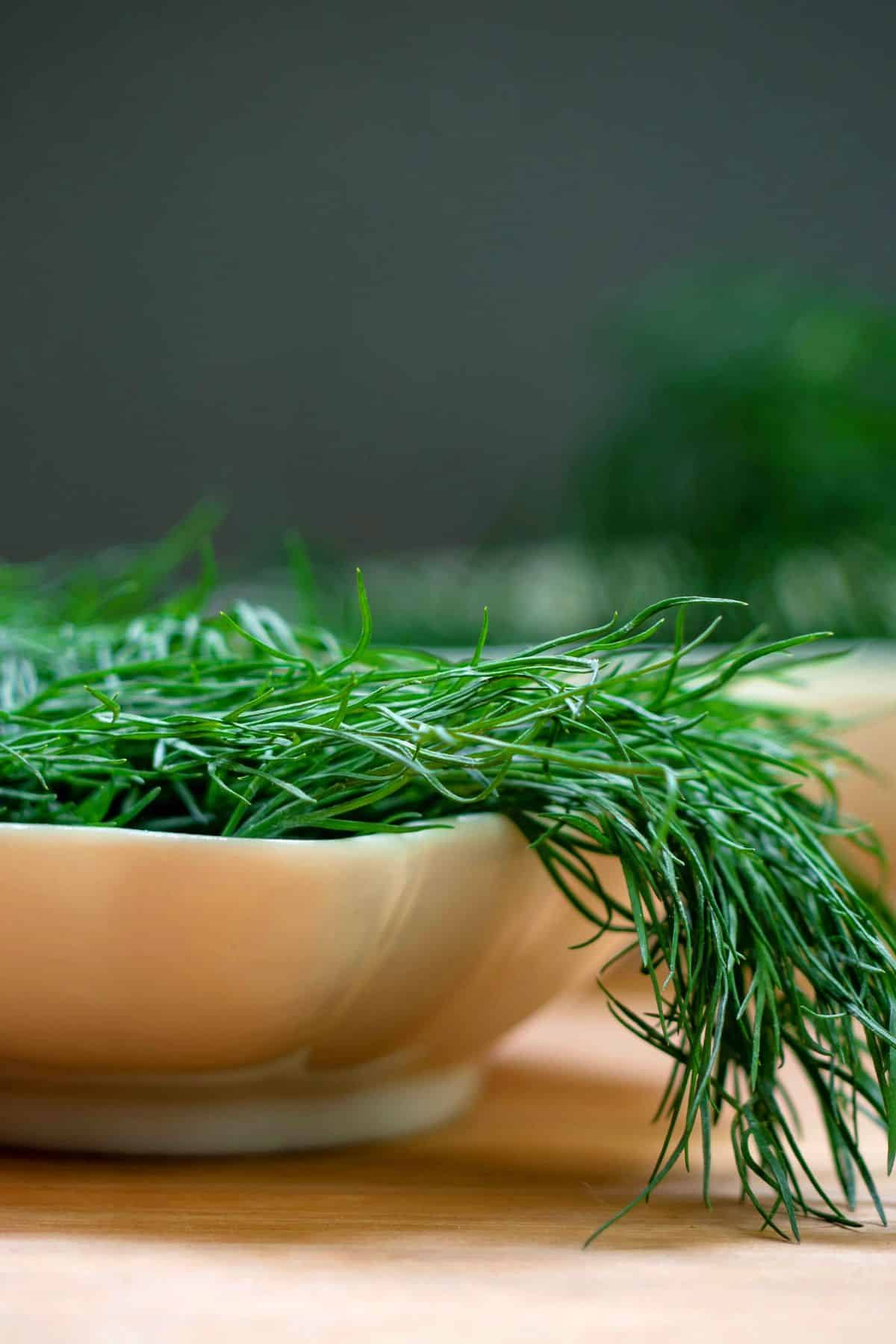 Fresh dill in dish.