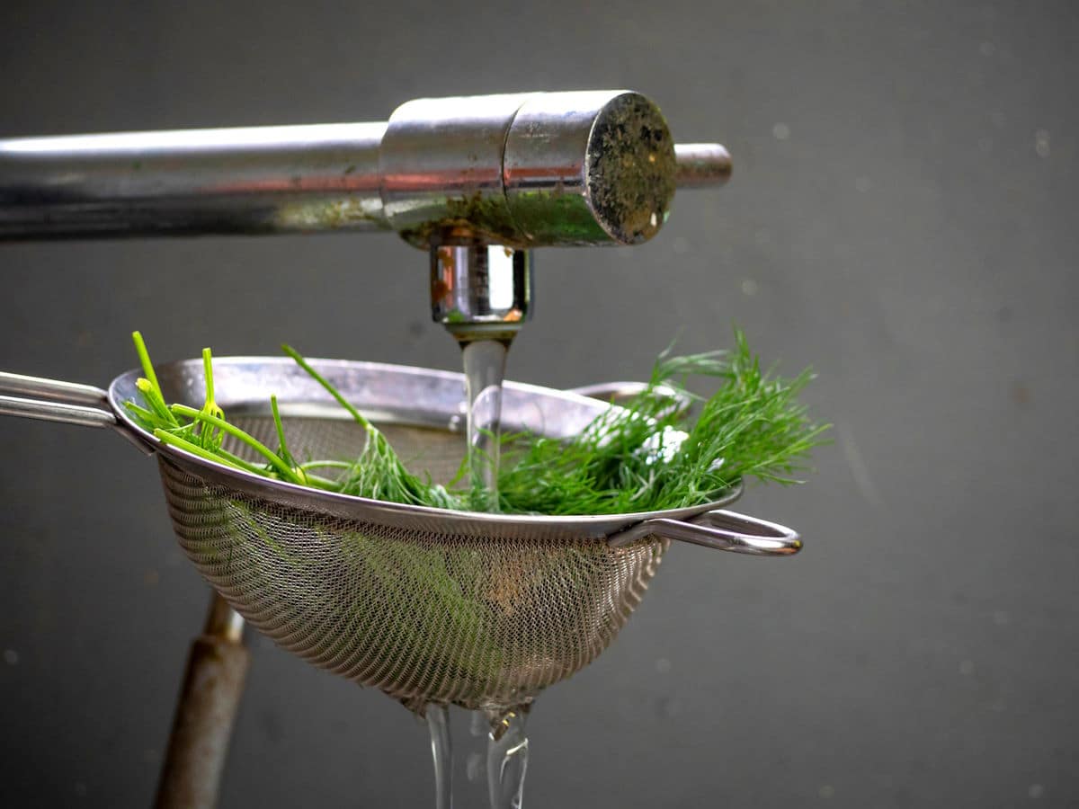 Water running over fresh dill in mesh strainer.