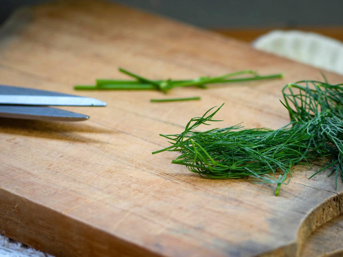 Fresh dill separated from stems.