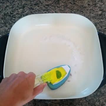 Electric skillet with scrub brush.