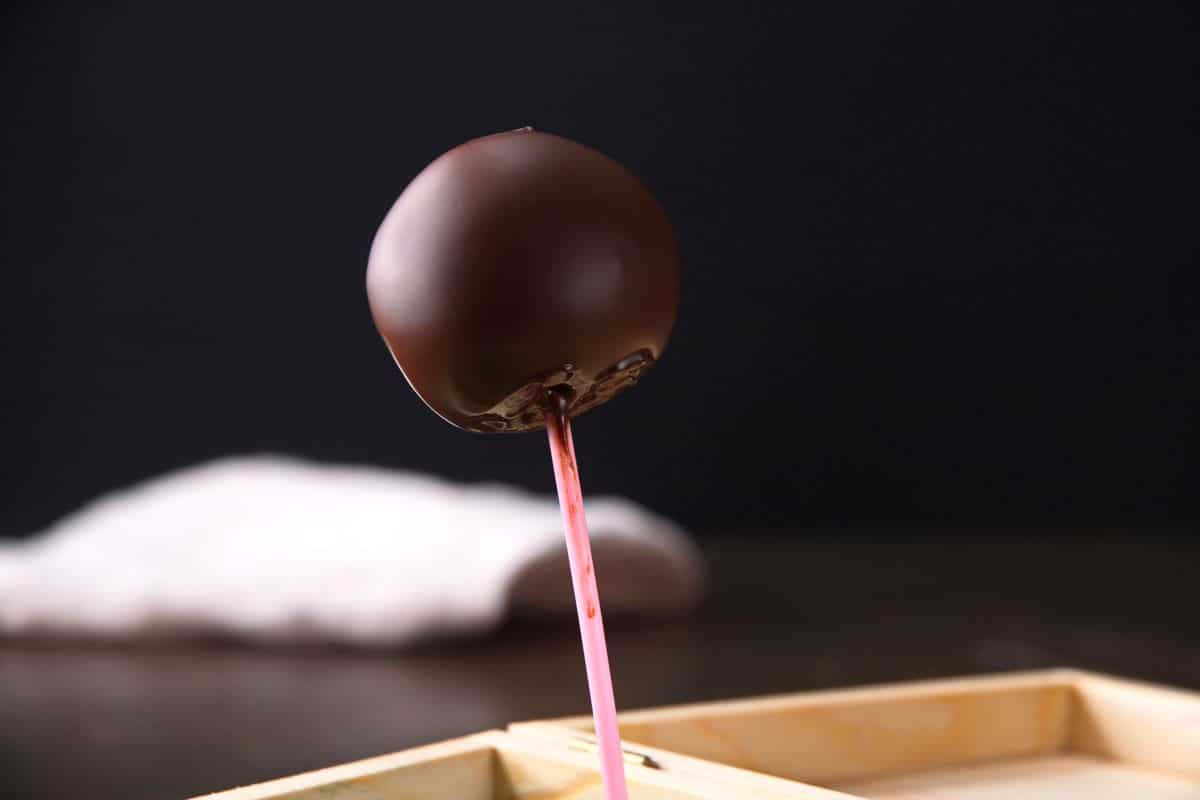 Chocolate covered cake pop in stand.