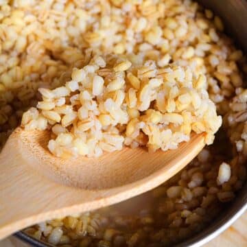 Cooked barley on a spoon.