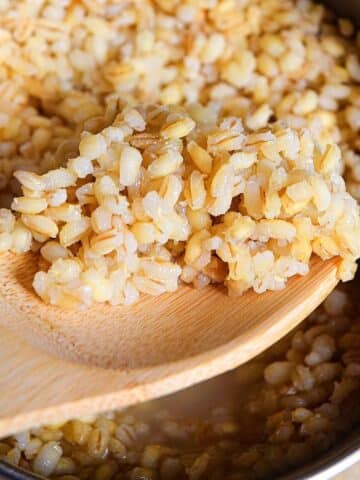 Cooked barley on a spoon.