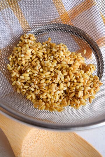 Uncooked barley in mesh strainer.