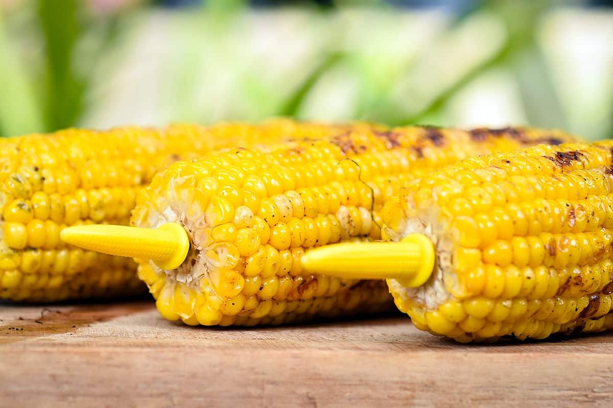 Grilled corn on the cob without the husk.
