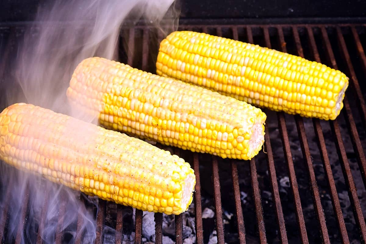 Corn on the cob cooking on outdoor charcoal grill.