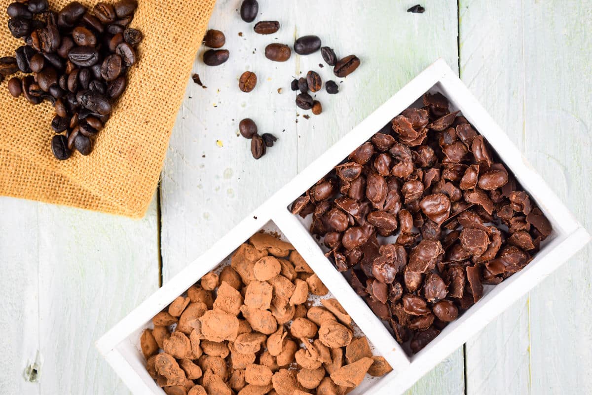 Chocolate covered coffee beans in white dish with coffee beans on the side.
