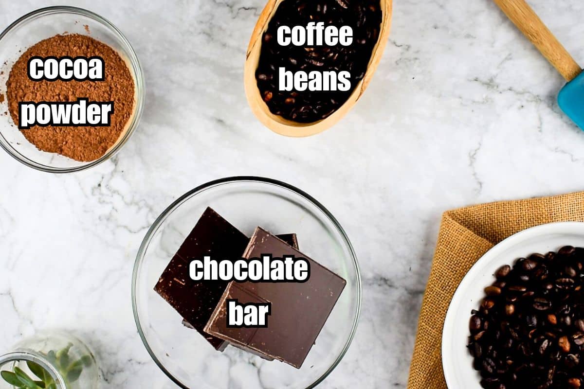 Chocolate covered coffee beans ingredients prepped and labeled on marble background.