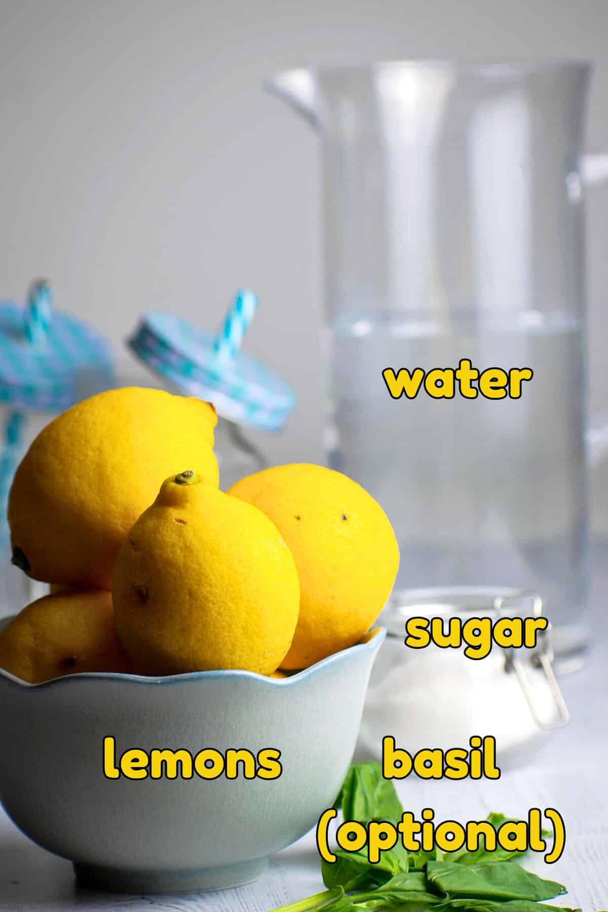 Lemonade ingredients labeled.