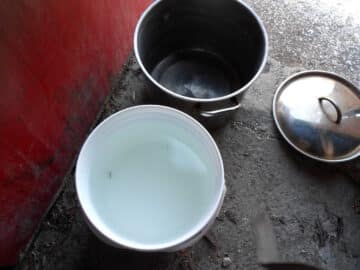 Large petal pot and plastic bucket on ground.