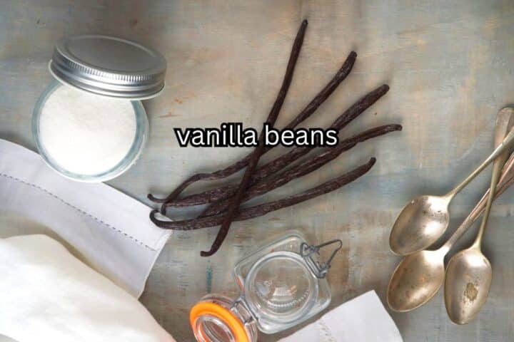How to Make Vanilla Powder Step 1 Vanilla beans on grey-brown background.